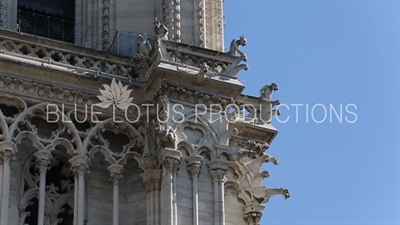 Notre-Dame Gargoyles and Sculptures in Paris