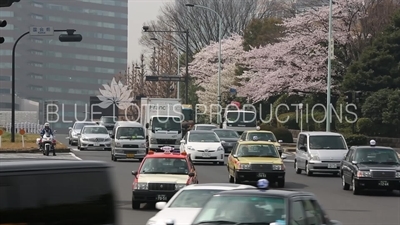 Tokyo Street