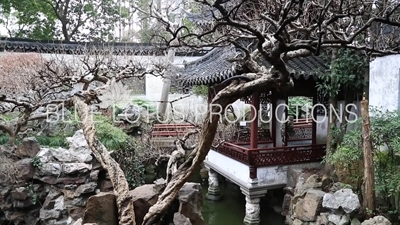 Yu Garden (Yuyuan) in Shanghai