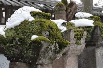 Moss Covered Stone Pillars in Zenko-ji in Nagano