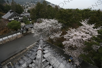 Grounds of Nanzen-ji in Kyoto