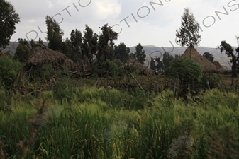 Small Village in Simien Mountains National Park