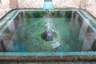 Pool in the Bagh-e Fin Garden in Kashan