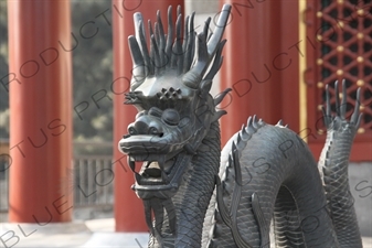 Bronze Dragon Statue outside the Hall of Benevolence and Longevity (Renshoudian) in the Summer Palace in Beijing