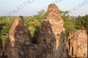 Jungle around Pre Rup in Angkor Archaeological Park