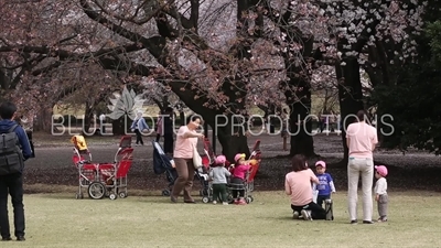 Children Playing in Shinjuku Gyoen National Park in Tokyo
