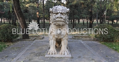 Lion Statue on the side of the Sacred/Spirit Way (Shen Dao) at the Ming Tombs (Ming Shisan Ling) near Beijing