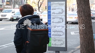 Passenger Waiting for a Bus in Seoul