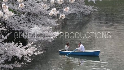 Tokyo Imperial Palace (Kokyu) Chidorigafuchi Moat Row Boats