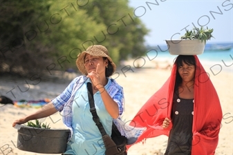 Pineapple Sellers on a Beach on Gili Meno