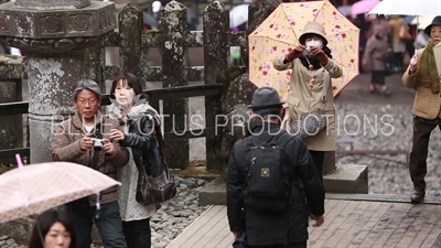 People Taking Photos at Toshogu Shrine in Nikko