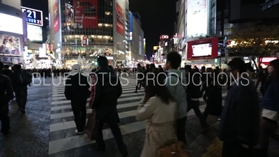 Shibuya Pedestrian Crossing in Tokyo