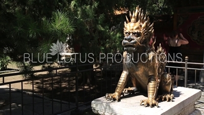 Qilin Sculpture in front of the Hall of Imperial Peace (Qinan Gong) in the Forbidden City in Beijing