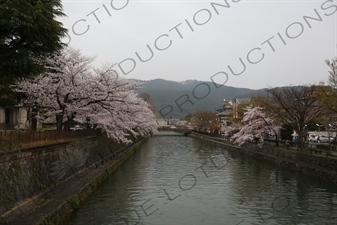 Lake Biwa Canal in Kyoto