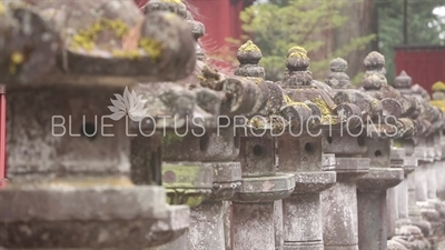 Stone Lanterns at Toshogu Shrine in Nikko