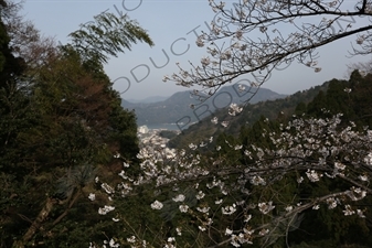 Kinosaki Onsen from the top of Mount Daishi