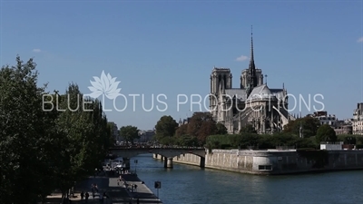 Notre-Dame and the Archbishop's Bridge (Pont de l'Archevêché) in Paris