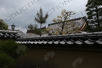 Building Roofs in the Daitoku-ji complex in Kyoto