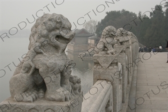 Lion Stone Carvings on the 17 Arch Bridge (Shiqi Kong Qiao) in the Summer Palace in Beijing