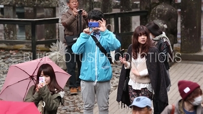 People Taking Photos at Toshogu Shrine in Nikko