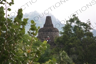 Top of Borobudur