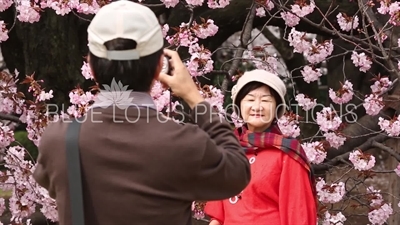 People Photographing Cherry Blossom in Shinjuku Gyoen National Park in Tokyo