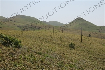 Telephone Polls and Long Grass on Rebun