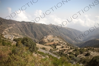 Mountain Road Leading to Massawa