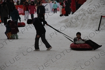 'Winter Show' in the Bird's Nest/National Stadium (Niaochao/Guojia Tiyuchang) in the Olympic Park in Beijing