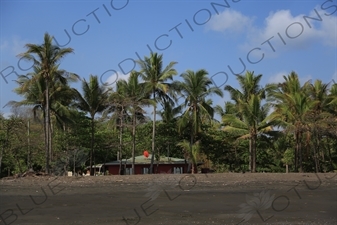 House on a Beach in Nosara