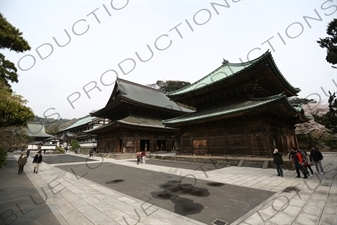 Butsuden, Hatto, Karamon and Hojo in Kencho-ji in Kamakura