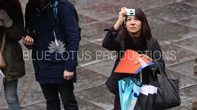 People Taking Photos at Toshogu Shrine in Nikko