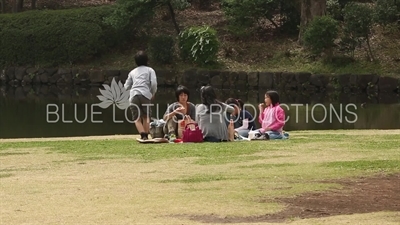 Kitanomaru Park/Garden Picnics in Tokyo