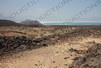 Hills and Volcanic Rock around Lake Assal in Djibouti