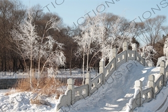 Chinese Style Arched Bridge in the Sun Island Scenic Area (Taiyang Dao) in Harbin