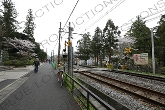 Train Tracks in Kamakura