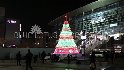 Busan Train Station Christmas Tree