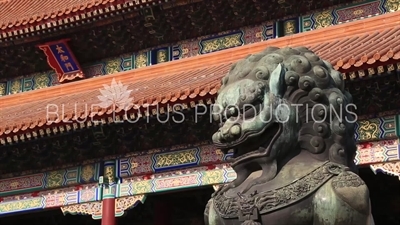 Guardian Lion in front of the Gate of Supreme Harmony (Taihe Men) in the Forbidden City in Beijing