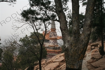 Four Great Regions (Sidabuzhou) on the North Slope of Longevity Hill (Wanshou Shan) in the Summer Palace in Beijing