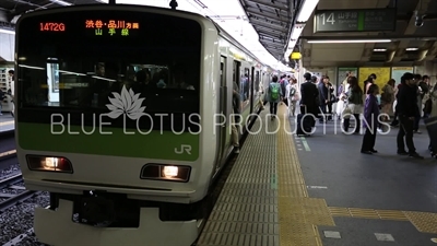 Passengers Boarding Train at Shinjuku Station in Tokyo