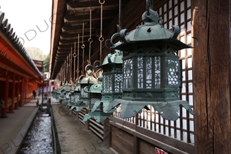 Kasuga Grand Shrine (Kasuga-taisha) in Nara