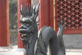 Bronze Dragon Statue outside the Hall of Benevolence and Longevity (Renshoudian) in the Summer Palace in Beijing