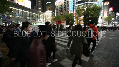 Shibuya Pedestrian Crossing in Tokyo