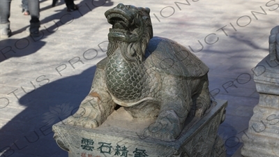 Dragon Turtle (Longgui) Statue in the Lama Temple in Beijing