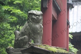 Lion Statue at Fujiyoshida Sengen Shrine in Fujiyoshida