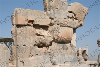 Throne Hall/Hall of 100 Columns at Persepolis