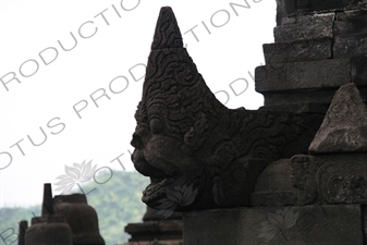 Carved Water Spout at Borobudur