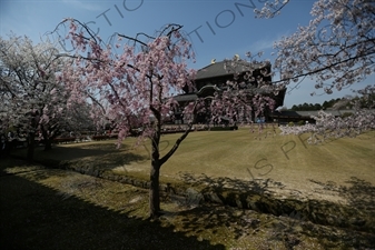 Big Buddha Hall (Daibutsuden) of Todaiji in Nara