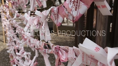 Yasukuni Shrine (Yasukuni-jinja) Paper Fortunes (Omikuji) in Tokyo