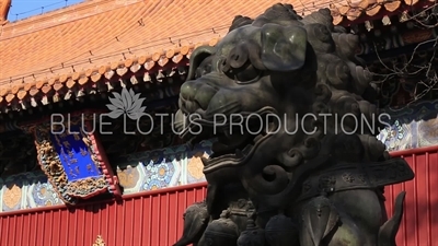 Guardian Lion in front of the Gate of Peace and Harmony (Yonghe Men) in the Lama Temple in Beijing